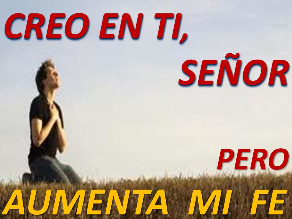 aumenta mi fe aumenta mi fe